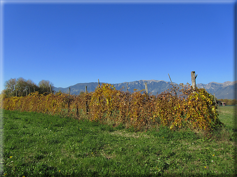 foto Alle pendici del Monte Grappa in Autunno